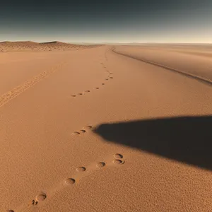 Scenic Moroccan Dunes under Sunny Sky