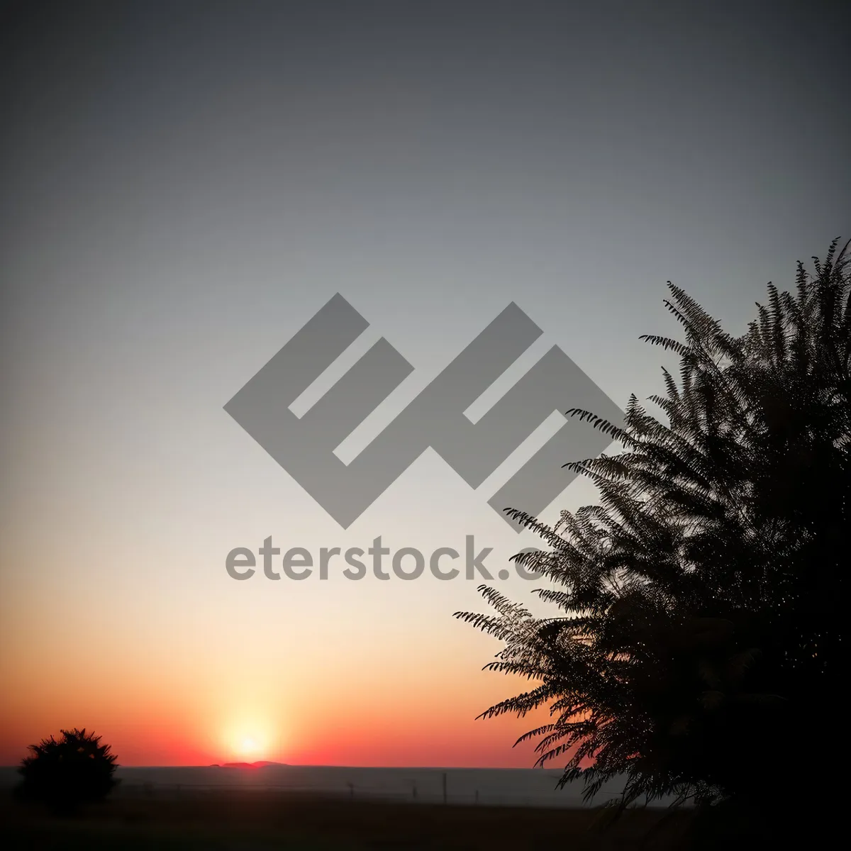 Picture of Golden Horizon – Summer Sunset Silhouette