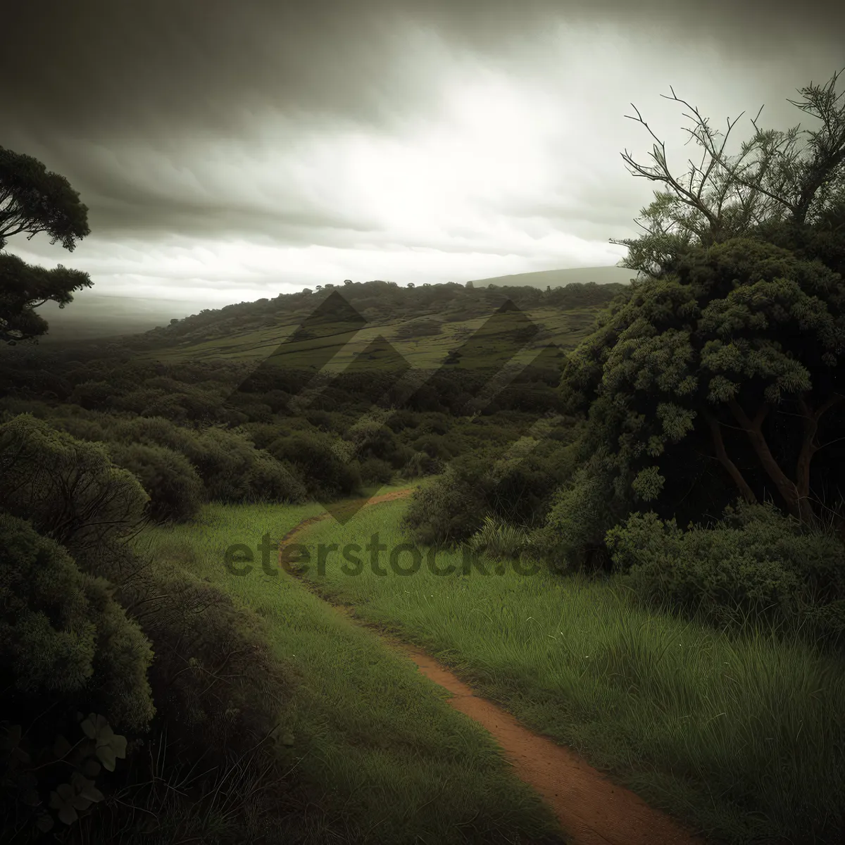 Picture of Peaceful Rural Landscape with Rolling Hills and Green Fields