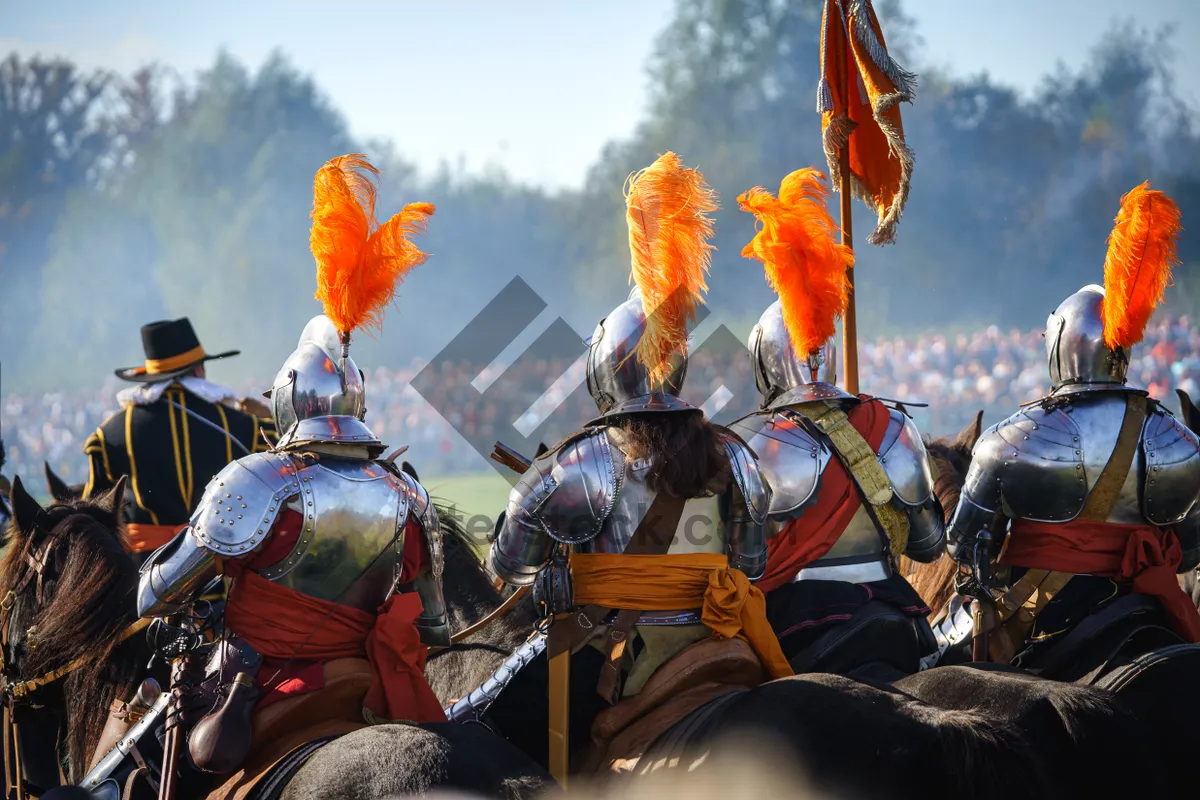 Picture of Honorable knights in armor with orange feathers and plumes riding on horseback, seen from the back with a view over the battlefield.