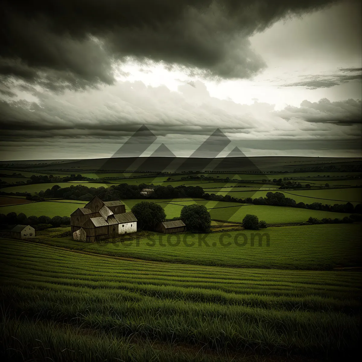 Picture of Rural Landscape with Grazing Cows under Cloudy Sky