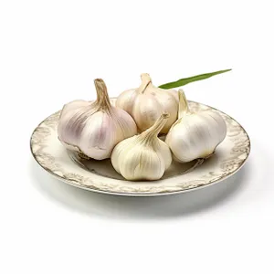 Fresh Organic Garlic Bulb Closeup for Gourmet Cooking