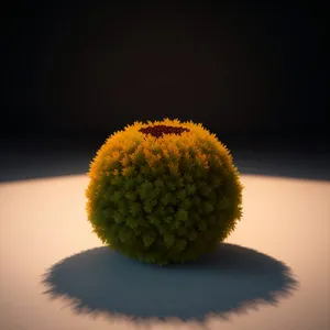 Close-up of a juicy litchi fruit.