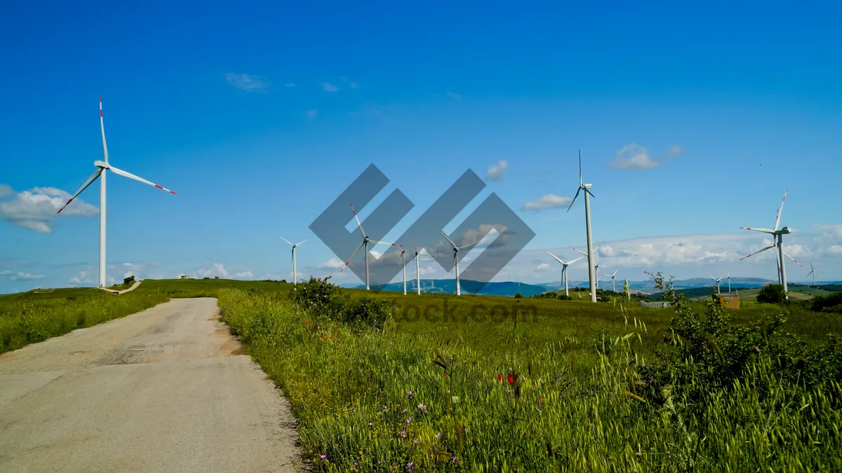 Picture of Sunny countryside landscape with wind turbine and clouds