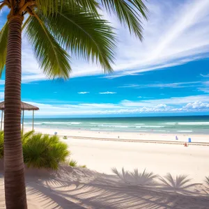 Exotic Tropical Paradise: Beach Bliss with Palm Trees