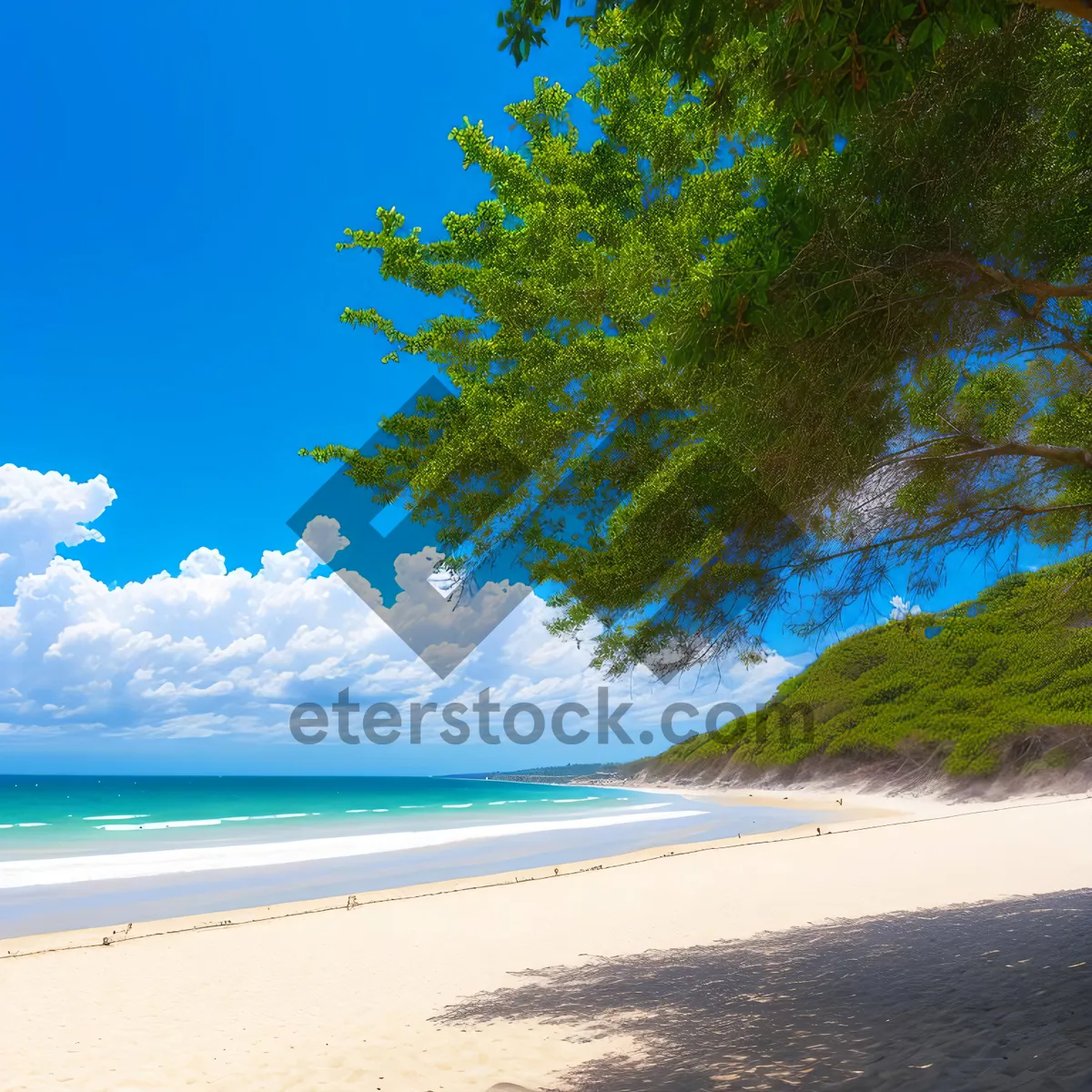 Picture of Sunny Tropical Beachscape with Turquoise Waves