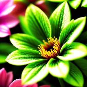 Vibrant Flax Blossom in Lush Garden