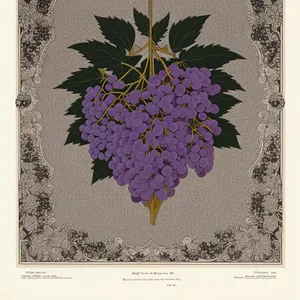Vintage Floral Grunge Card with Antique Frame
