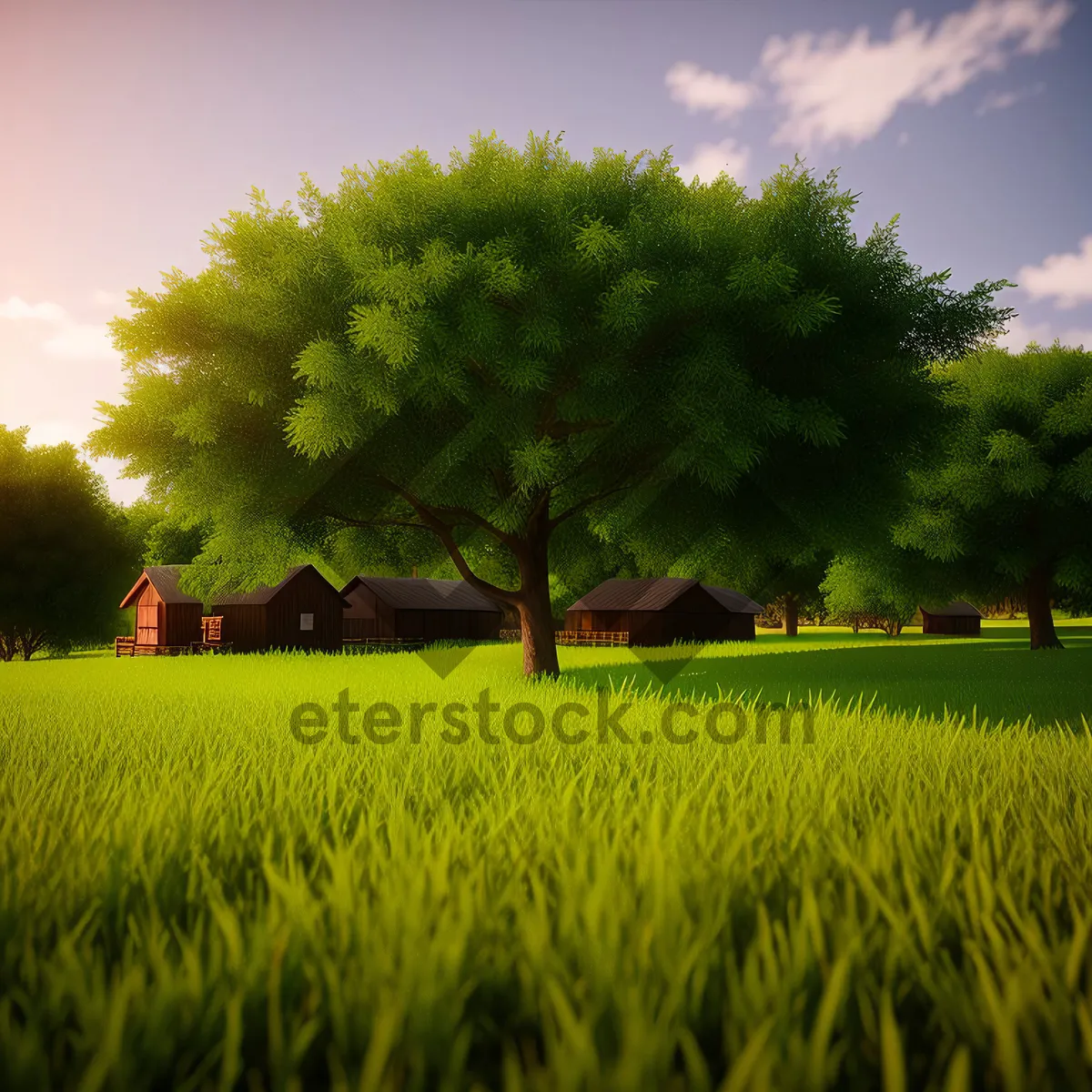Picture of Rural Landscape with Wheat Field under Clear Sky