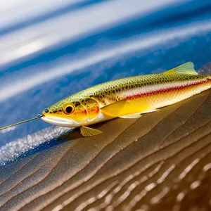 Oceanic Finned Catch: Wildlife Fishing Gear in Underwater Aquarium