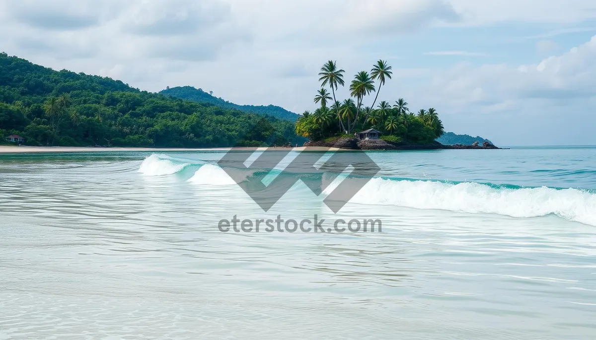 Picture of Tropical beach paradise with palm trees and waves