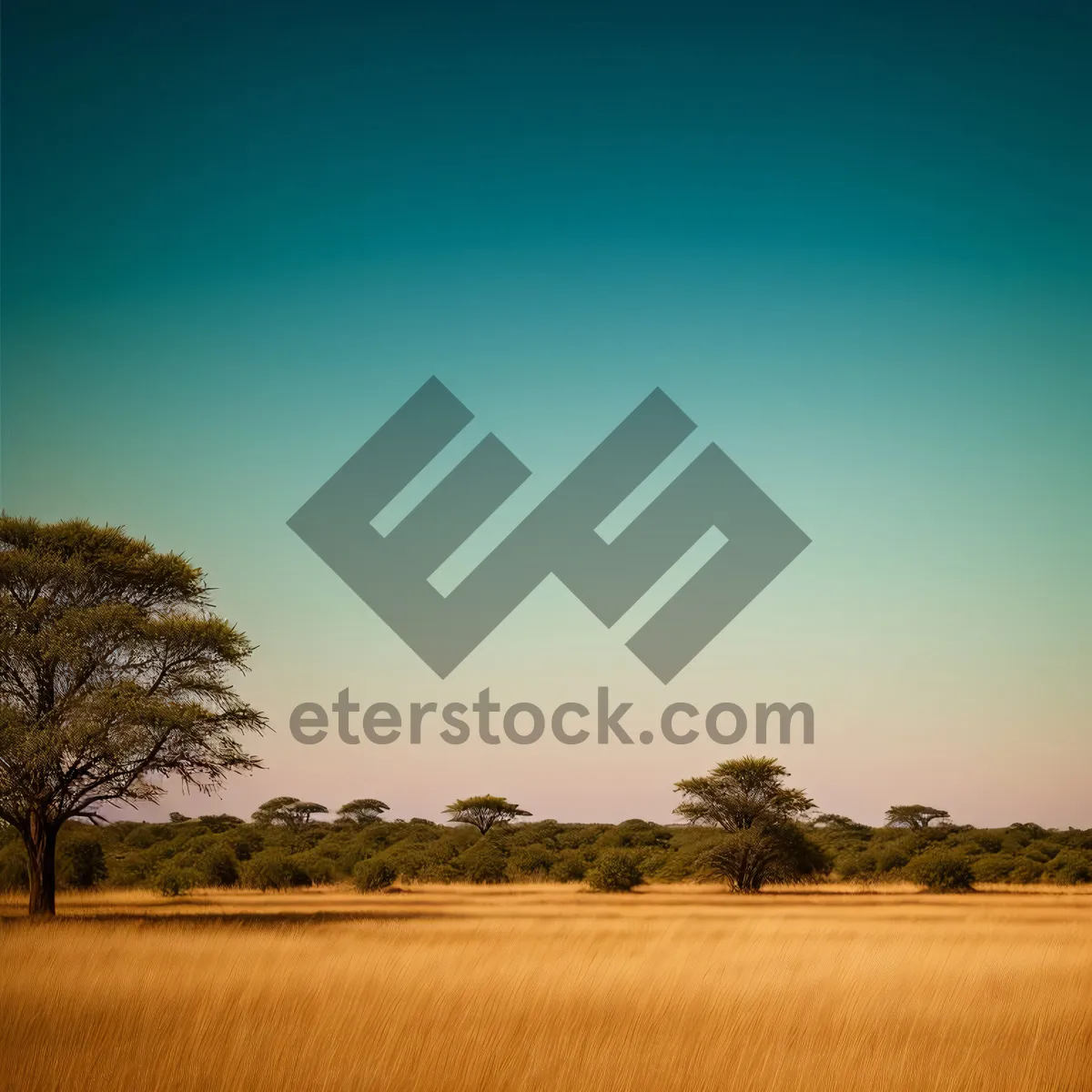 Picture of Serene Horizon: Vast Meadow Underneath Cloudy Sky