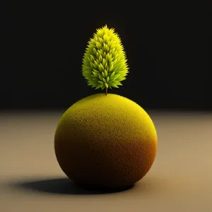 Yellow Tennis Ball with Citrus Twist