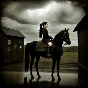 Rider on Brown Stallion with Sidesaddle