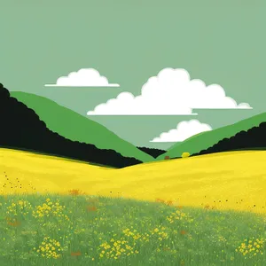 Idyllic Rapeseed Field Under Sunny Skies