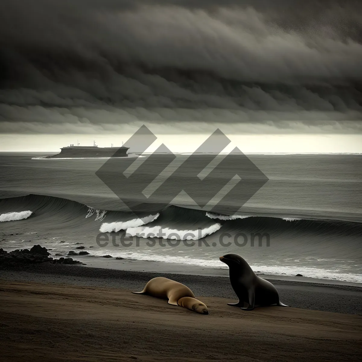 Picture of Seal on the Sandy Beach