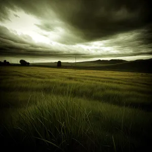 Sunset over Rural Meadow and Grassland