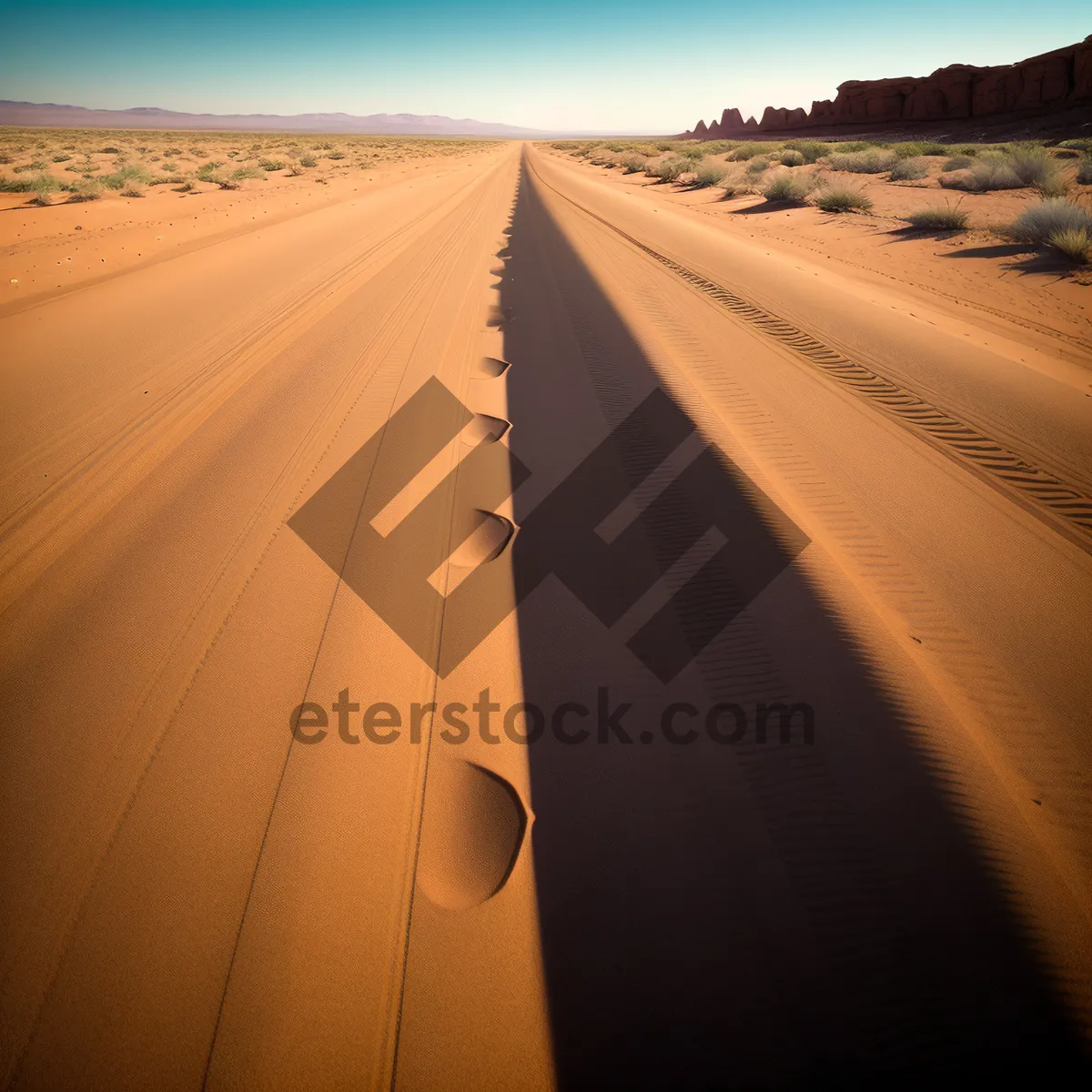 Picture of Desert Horizon: Wings Soaring Through Landscape