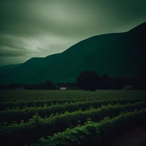 Idyllic countryside landscape with rolling hills.