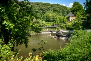 Tranquil Summer Landscape by the Lake