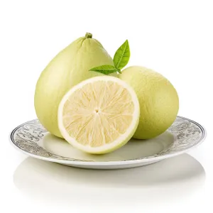 Fresh Citrus Lemon Slice for Healthy Eating Option