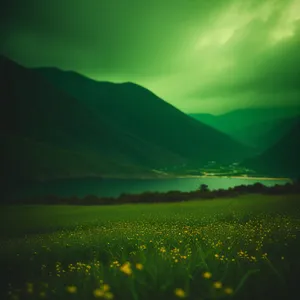 Golden Meadow Bliss: Serene Rural Landscape under Sunlit Sky