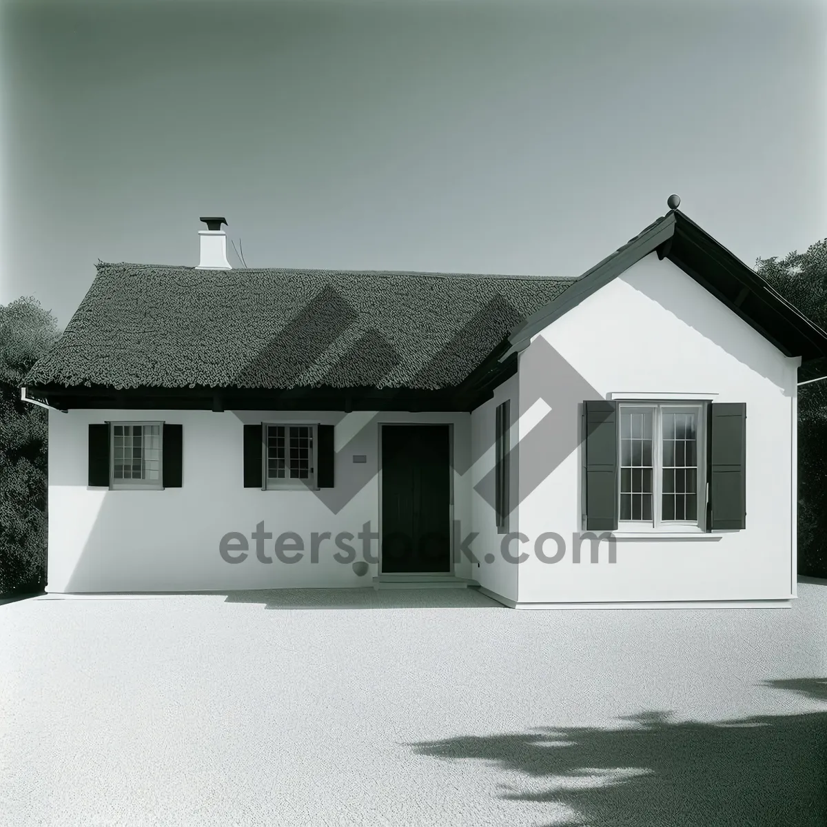 Picture of Modern suburban villa with landscaped lawn and driveway.