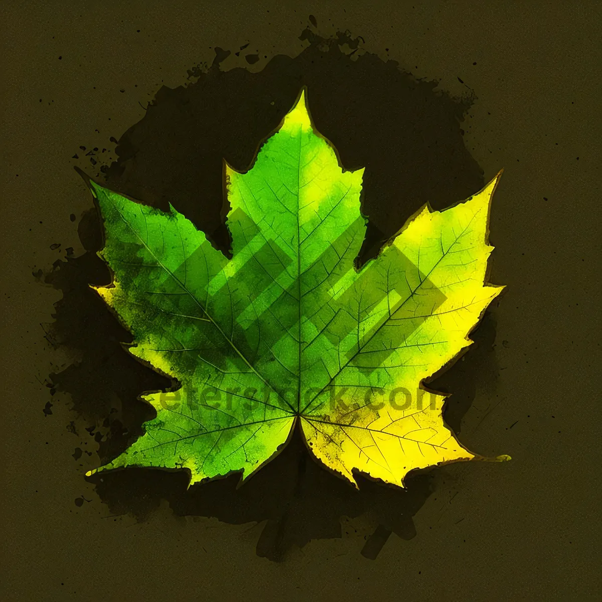 Picture of Vibrant Maple Leaf in Autumn Forest