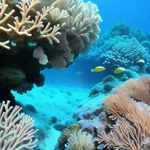 Tropical Underwater Coral Reef with Colorful Fish.