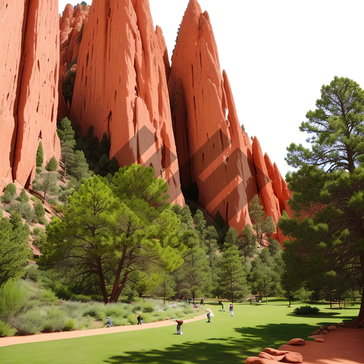 Picture of Majestic Valley View: Stunning Canyon Landscape Surrounded by Towering Trees in National Park