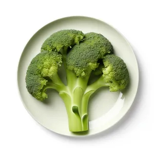 Fresh Vegetables for Healthy Cooking - Broccoli and Cabbage