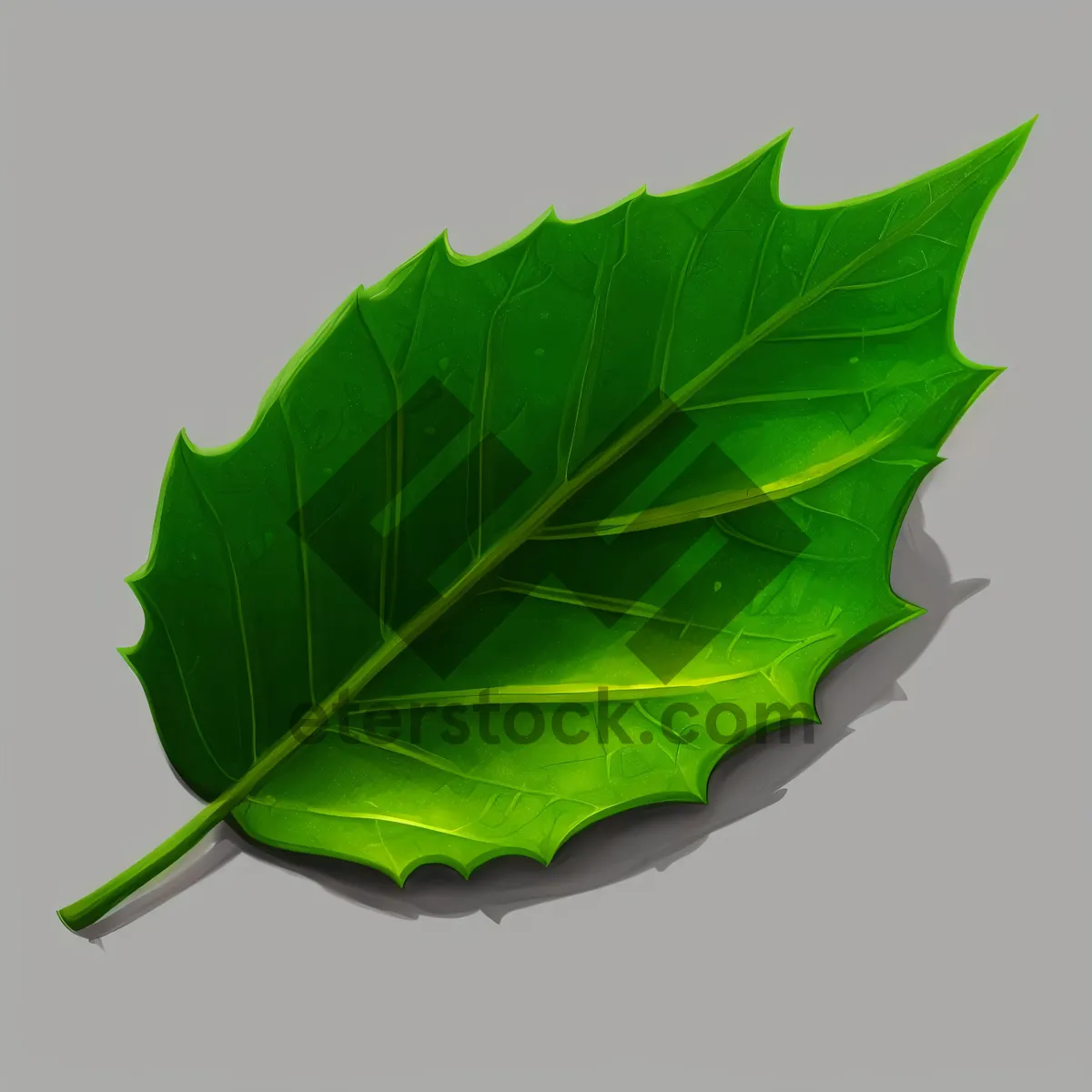 Picture of Fresh Leaf Texture: Natural Healing Seedling and Leaves.