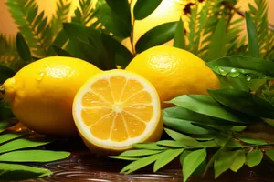 Fresh Citrus Slices for Healthy Eating Choice