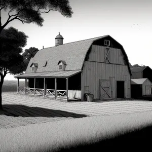 Rustic Barn in Countryside Surrounded by Fields