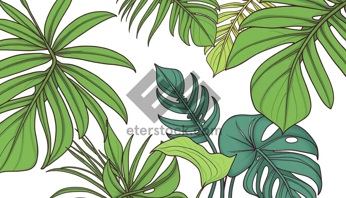 Picture of Floral Summer Leaf Decorative Pattern