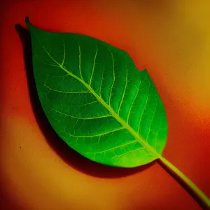 Vibrant Fractal Leaf Texture in Fresh Water