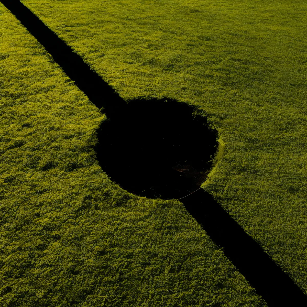 Picture of Competitive golfer on fairway during golf tournament