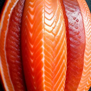 Fresh Citrus Salmon Slice - Healthy Gourmet Meal