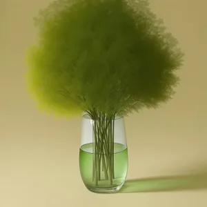 Summer Vase with Dandelion Flower and Shaving Brush