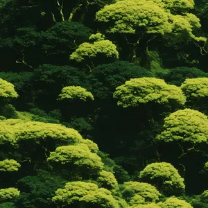 Lush Garden Angelica - Serene Herb in Vibrant Landscape