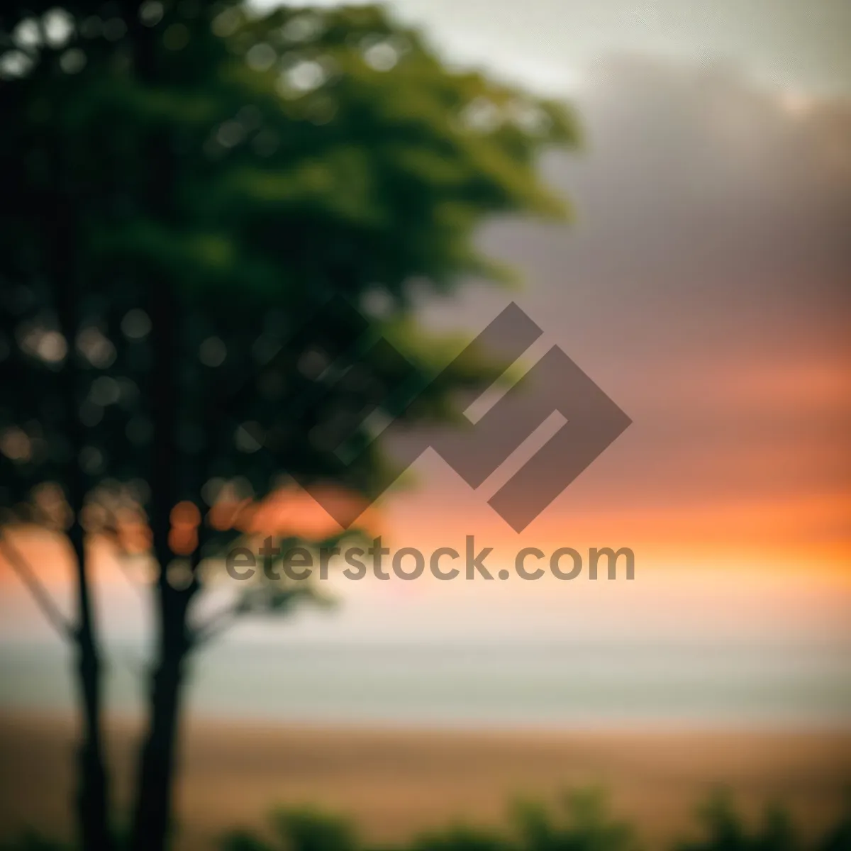 Picture of Colorful Oak Tree in Sunny Meadow