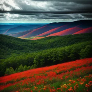 Scenic Highland Meadow with Clouds and Mountains