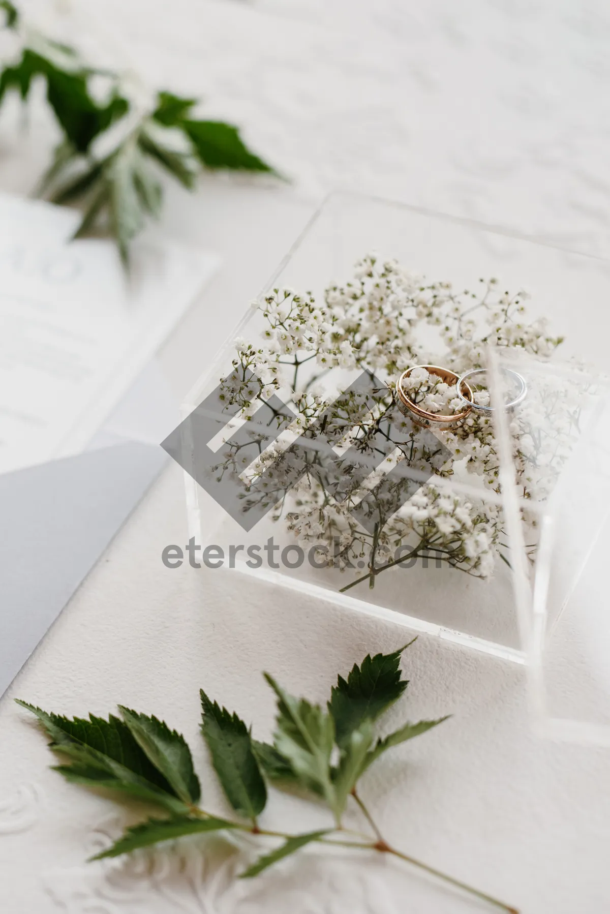 Picture of Fresh Plant Bouquet with White Flowers