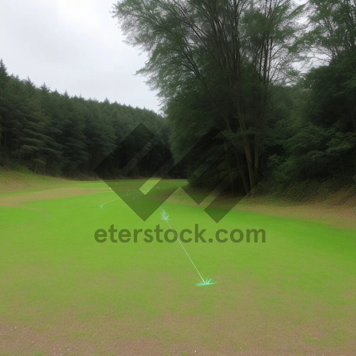 Picture of Serene Golf Course Landscape Under Blue Sky