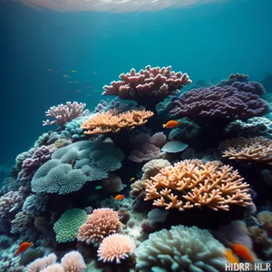 Colorful Underwater Coral Reef with Exotic Marine Life