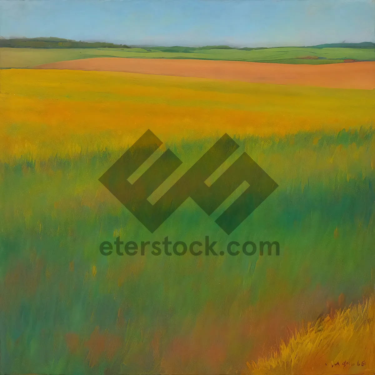 Picture of Rural Wheat Field Under Sunny Sky