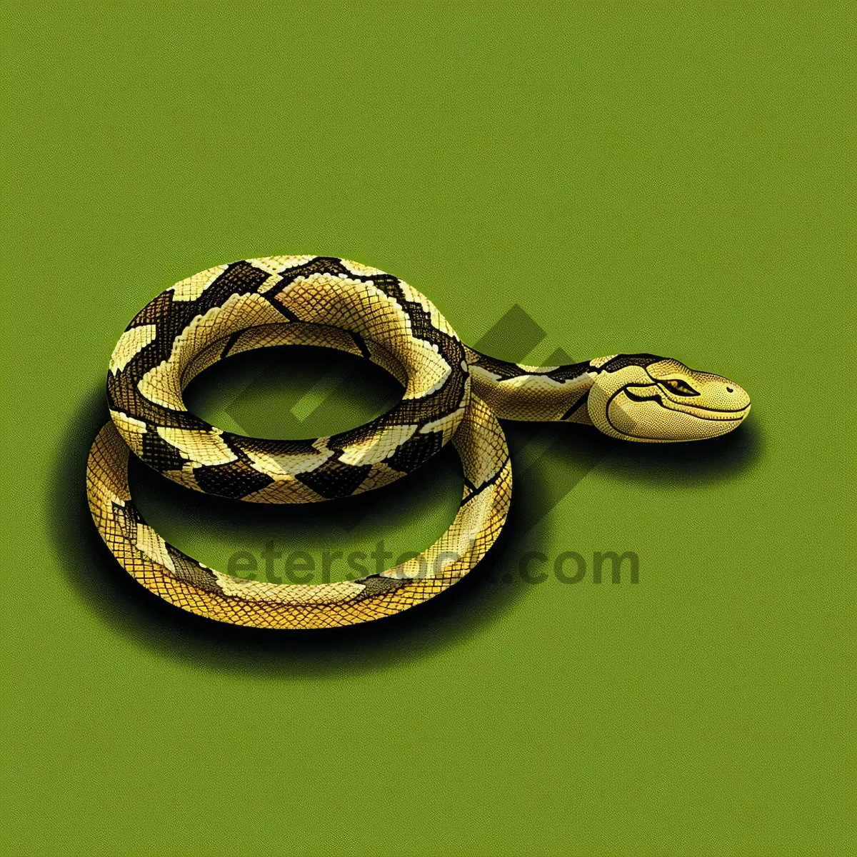 Picture of Wildlife snake bangle connection chain vine snake python.