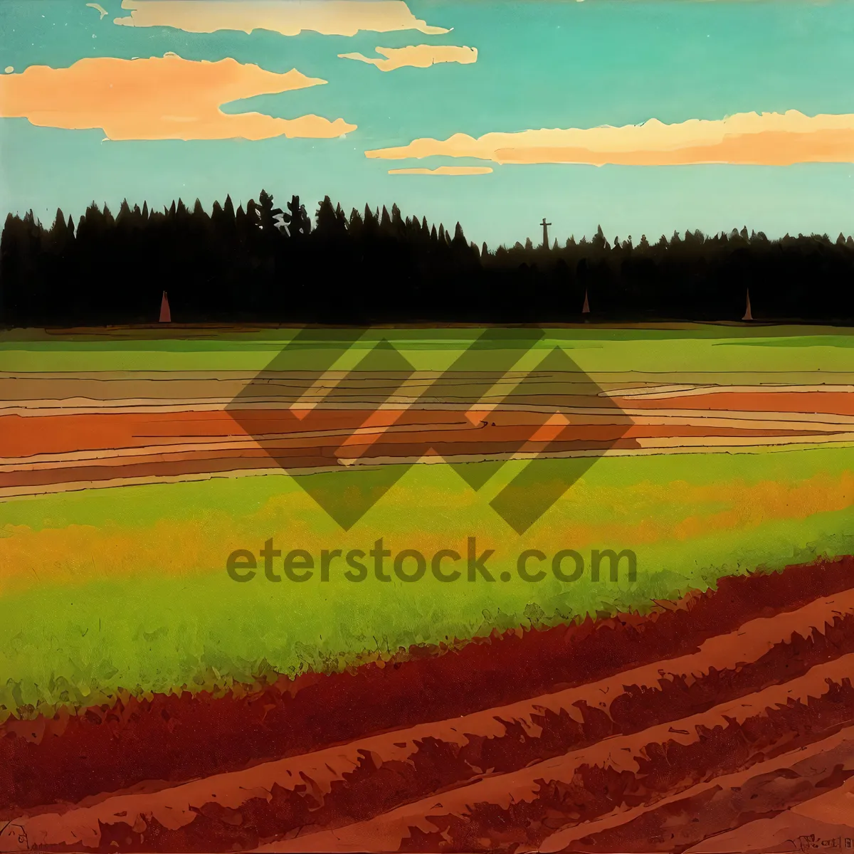 Picture of Summer Rice Field under Blue Sky