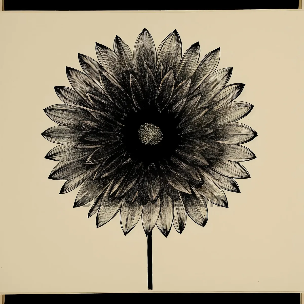 Picture of Sunflower Art: Vibrant Floral Graphic Design