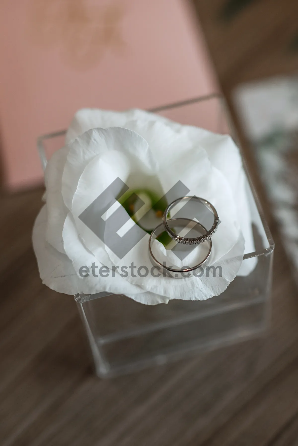 Picture of White rose bouquet for wedding celebration with love.